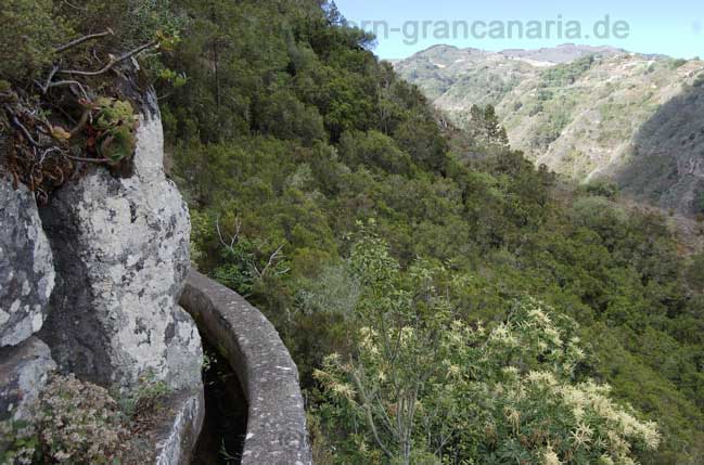 Levada von Gran Canaria